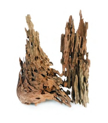 DRAGON WOOD