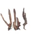 DRIFT WOOD