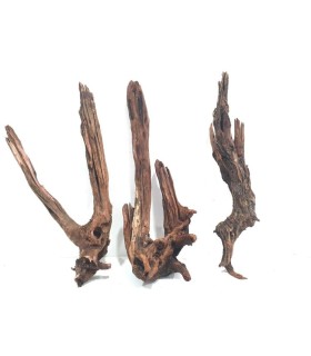 DRIFT WOOD
