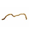 SNAKE GOLD
