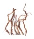 RAMAS TWIST ROOT