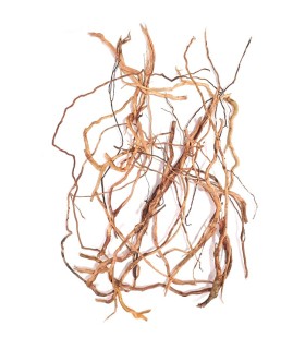 RAMAS MIX