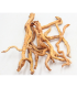 RAMAS MIX