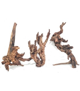 SHENMU