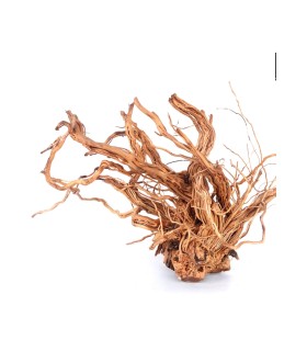 TWIST ROOT