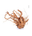 TWIST ROOT