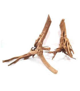 WOOD STUMP
