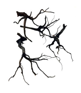 RAMASALA BLACK