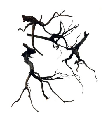 RAMASALA BLACK