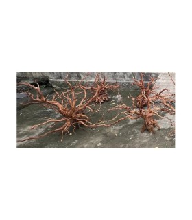 RAMASALA BROWM JUMBO