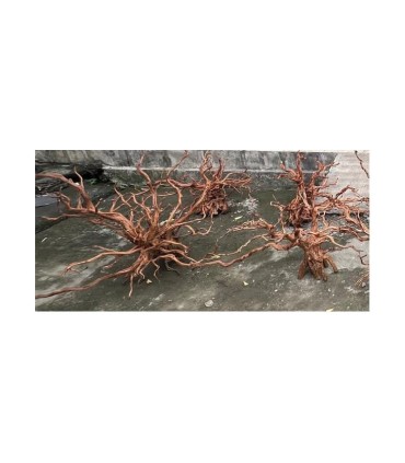 RAMASALA BROWM JUMBO