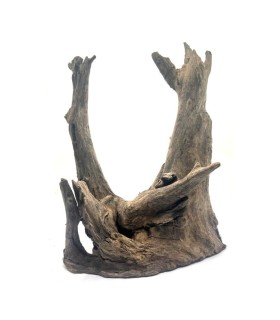 NATURAL OLD TREE ROOT