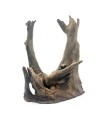 NATURAL OLD TREE ROOT