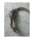 WATER ROOT