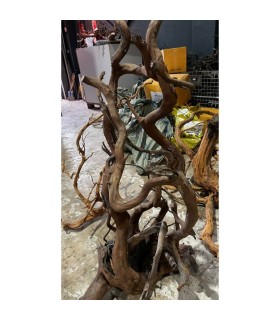 GIAT ROOT 70-140 CM
