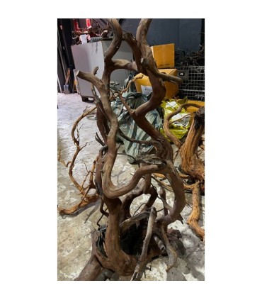 GIAT ROOT 70-140 CM