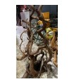 GIAT ROOT 70-140 CM