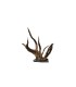 NATURAL ROOT + STONE