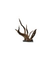 NATURAL ROOT + STONE