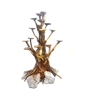 Bonsai Rasamala Mini