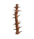 SPINY BRANCH