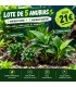 LOTE DE 5 ANUBIAS