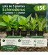 LOTE DE 5 ECHINODORUS 15€
