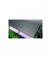TWINSTAR LIGHT III RGB 600EA - 60/80CMS