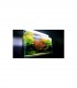 TWINSTAR LIGHT II RGB 600EA - 60/80CMS
