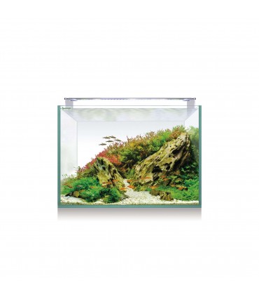 Kit AQUASCAPE RGB 68 (70 l)