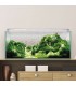 Kit Acuario AQUASCAPE RGB 100 (100 l)