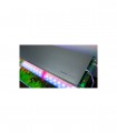 TWINSTAR LIGHT III RGB 600EA - 60/80CMS + CONTROLADOR WIFI