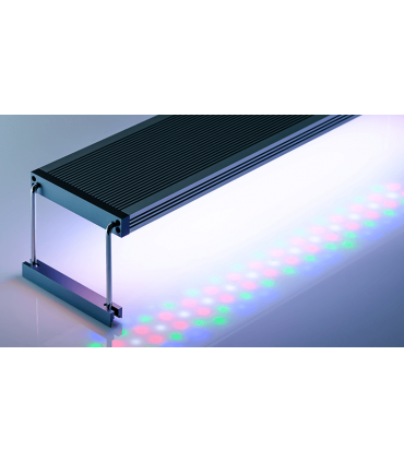 TWINSTAR LIGHT III RGB 450SA - 45/60CMS