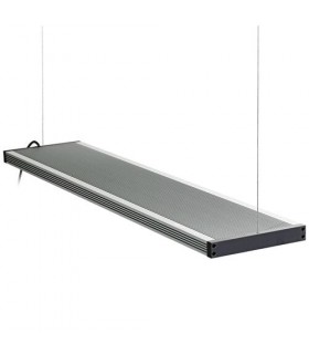 TWINSTAR LIGHT III RGB 600SP - 60/80CMS