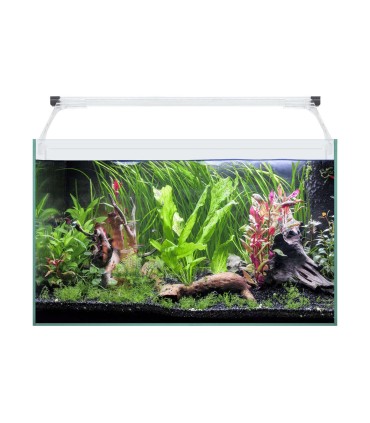 Kit Acuario AQUA LIGHT Glass 50 (41 l)