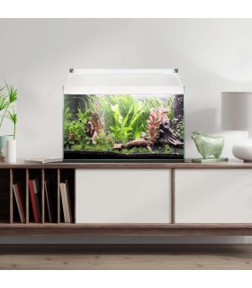 Kit Acuario AQUA LIGHT Glass 80 (76 l)