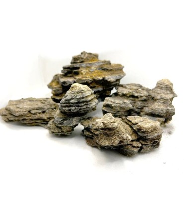 IRON STONE