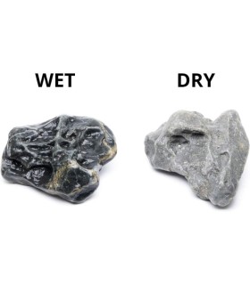 HAKKAI STONE