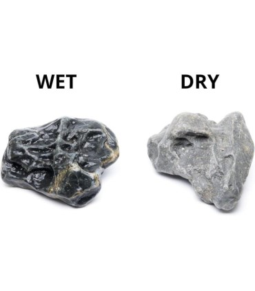 HAKKAI STONE